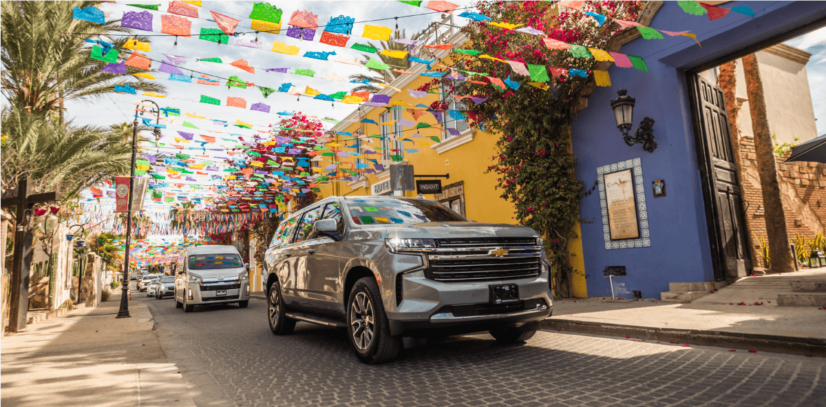 VIP-landing-local-attractions-transfer-service